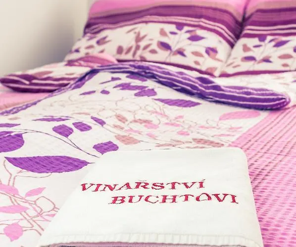 Гостевой дом Vinarstvi Buchtovi 3*